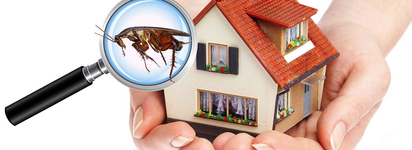 Residential Pest Control Services: Customized Solutions for Homes